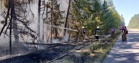 За минулу добу черкаські рятувальники ліквідували 13 пожеж