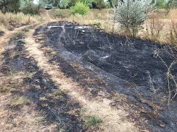 Дві людини загинуло під час пожежі сухої трави на Черкащині (ФОТО)