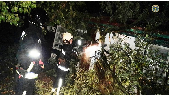 На Черкащині через негоду дерево впало на будинок