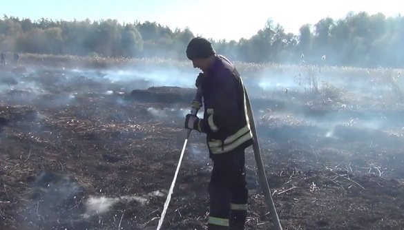 У Черкаській області вже шосту добу гасять пожежу на торфовищах (ВІДЕО)