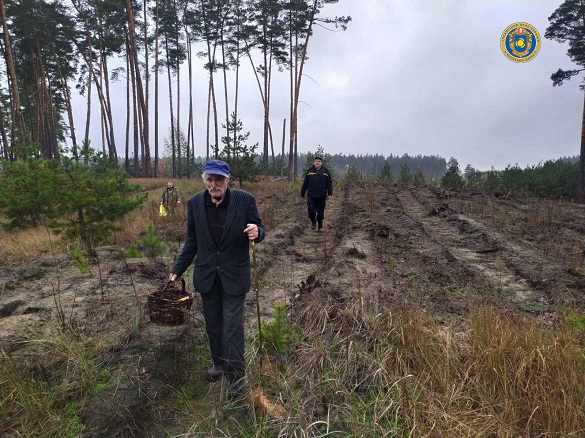 Пішов по гриби та загубився: на Черкащині шукали пенсіонера