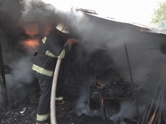 Під час пожежі на Черкащині загинули свійські тварини