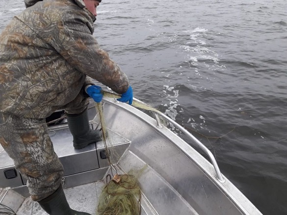 Екоінспектори виявили 40 браконьєрських сіток на території Кременчуцького водосховища