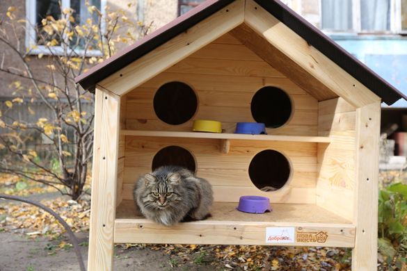 У Черкасах створюють незвичні будівлі для безпритульних котів