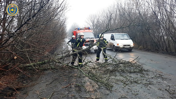 Рух дорогою на Черкащині блокували повалені дерева (ФОТО)