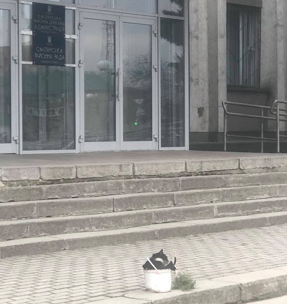 Вчора під міськраду в Смілі принесли замордованого кота (ФОТО)