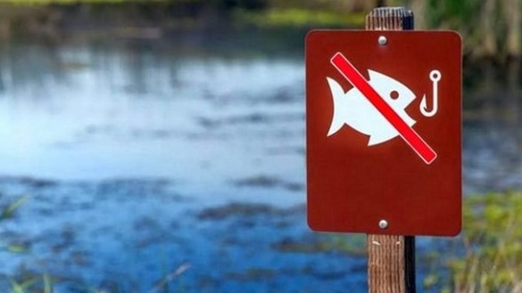У квітні розпочинається нерестова заборона на вилов риби