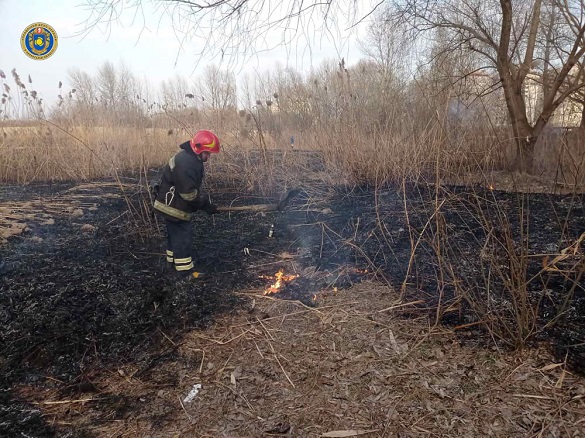 Горіли суха трава та очерет: рятувальники Черкащини 13 разів гасили пожежі