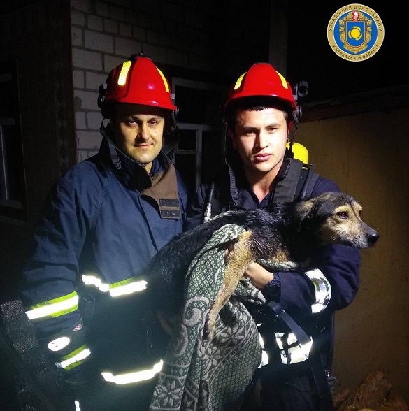 На Черкащині врятували собаку, який впав до 25-метрового колодязя (ФОТО)