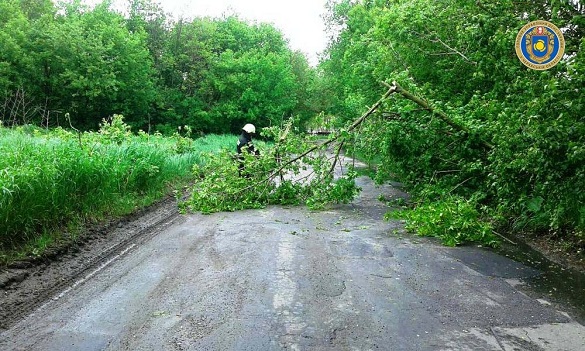 На Черкащині повалені вітром дерева блокували проїзд автомобілів (ФОТО)
