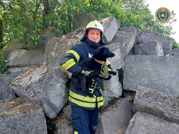 На Черкащині врятували собаку, який застряг між плитами