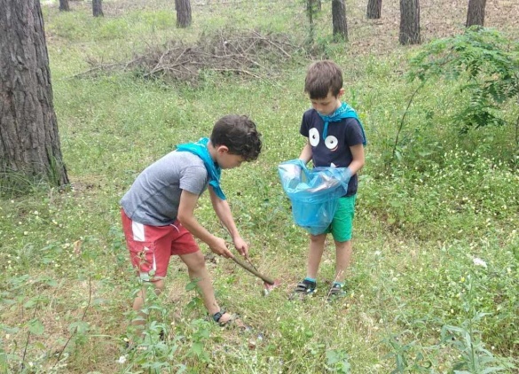 Лісівники Черкащини разом із дітьми прибирали ліс від сміття