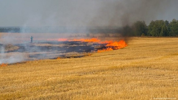 У Черкаській області сталася пожежа на полі