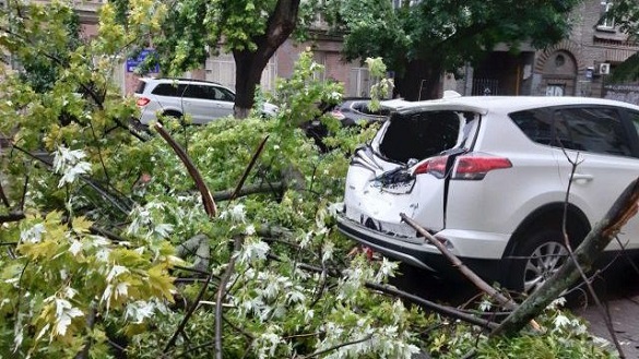 Понад 700 тисяч гривень відсудив у міськради чоловік, на автівку якого в Черкасах упало дерево