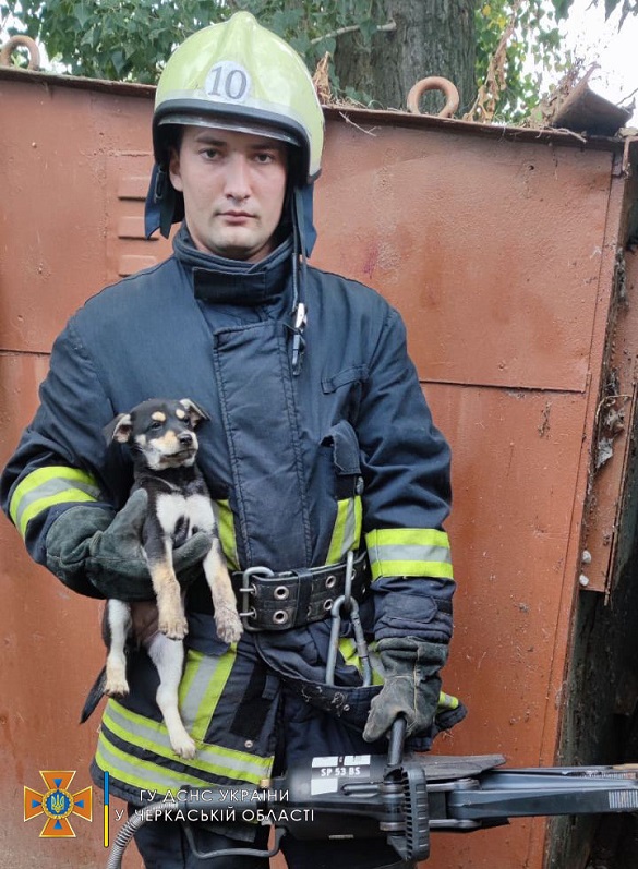 На Черкащині рятувальники допомогли цуценяті, яке застрягло між гаражами (ФОТО)