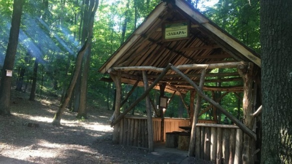 У лісі на Черкащині облаштували інклюзивну зону відпочинку
