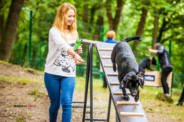 Черкащани пропонують створити парк для вигулу собак на 