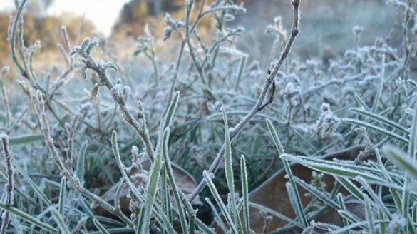 До 3 градусів: на Черкащині завтра прогнозують заморозки
