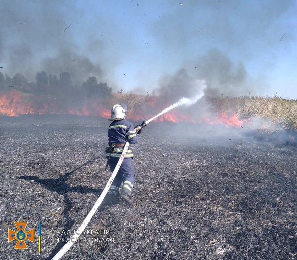 Сухий очерет та сміття: на Черкащині рятувальники тричі ліквідовували пожежі