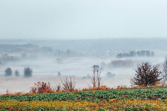 Туманний краєвид на Черкащині: фотографиня показала магічні світлини