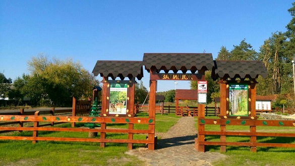 Райський куточок: на Черкащині створили рекреаційний маданчик із павичами