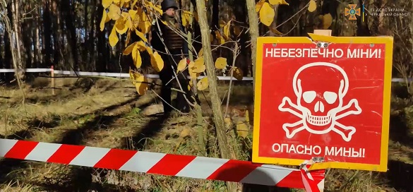 Вісім гранат та близько тисячі патронів: на Черкащині знищили вибухонебезпечні предмети