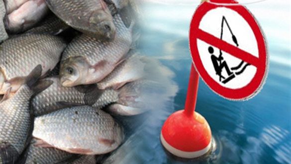 У Черкаській області заборонять вилов риби на зимувальних ямах