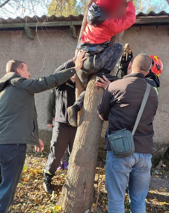 У Черкасах дитина застрягла на дереві (ФОТО)