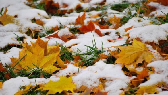 До побачення, осінь: прогноз погоди на вихідні 27–28 листопада