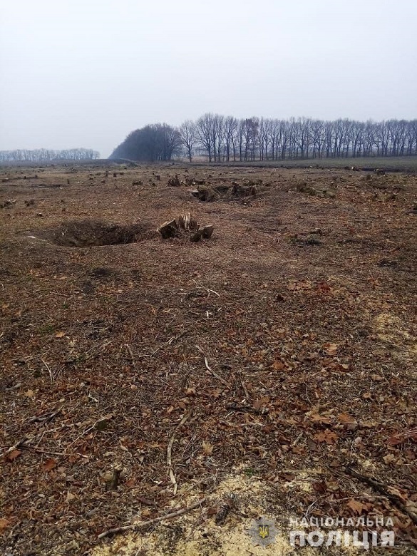 Незаконну вирубку дерев припинили в Черкаській області (ФОТО)