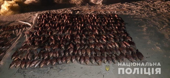 У Черкаській області браконьєри наловили понад 100 кілограмів риби (ФОТО)