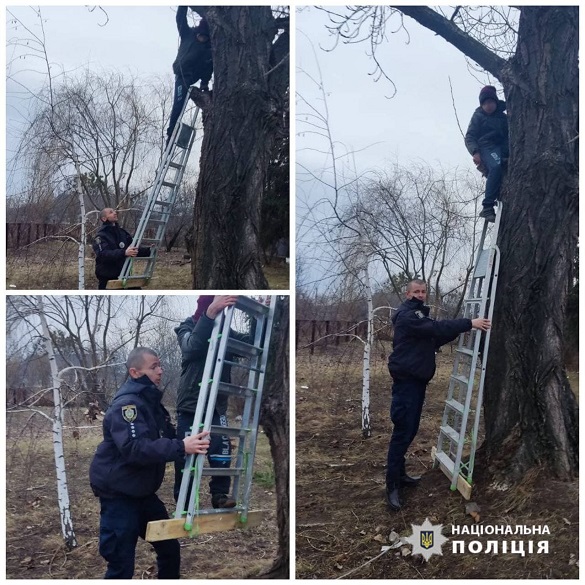 На Черкащині хлопчик не міг злізти з дерева 