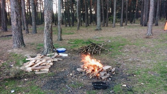 В одній з громад на Черкащині заборонили відвідувати ліс