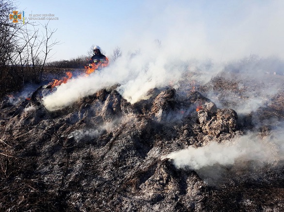 За добу на Черкащині сталося 26 пожеж на відкритих територіях (ФОТО)