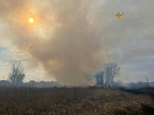 Знищено 40 гектарів сухої трави: на Черкащині сталася масштабна пожежа (ФОТО)