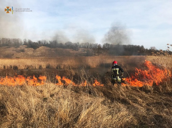 Горіло в кожному куточку області: за добу на Черкащині сталося понад 30 пожеж (ФОТО)