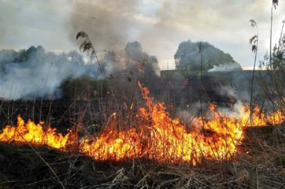 На Черкащині рятувальники продовжують гасити масові загоряння сухої трави