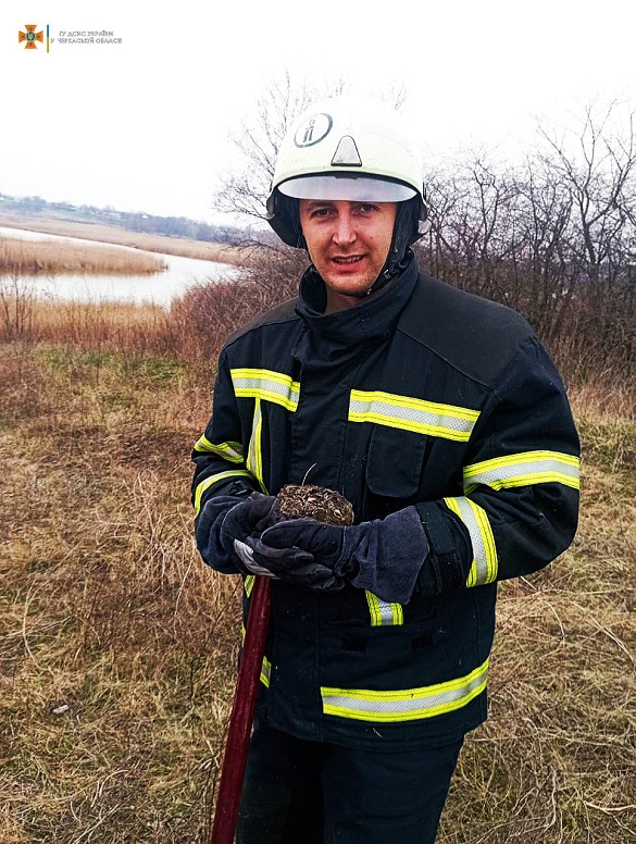 На Черкащині врятували маленьке зайченя, яке ледь не згоріло під час пожежі трави (ФОТО)