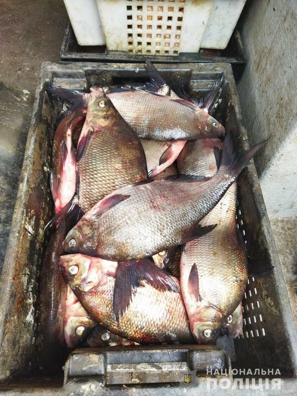 Черкащанин намагався провезти через блокпост понад 150 кг риби (ФОТО)