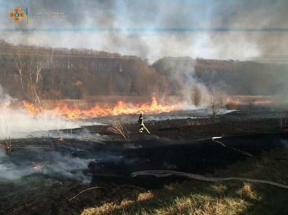 За добу на Черкащині сталося 12 пожеж сухої рослинності (ФОТО)