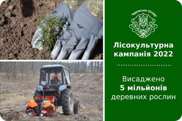 Лісівники Черкащини висадили 5 мільйонів деревних рослин
