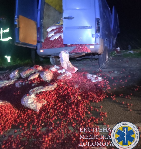 На Черкащині мікроавтобус злетів у кювет, є постраждалий (ФОТО)