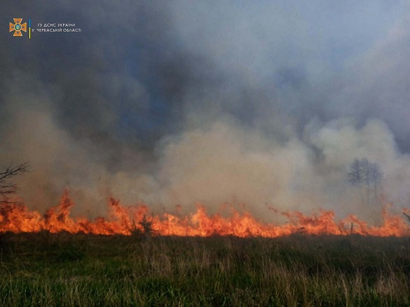 Горить трава, а з нею і рідна земля: на Черкащині знову палили суху рослинність (ФОТО)