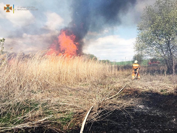Рятувальники Черкащини ліквідували чотири пожежі на відкритих територіях