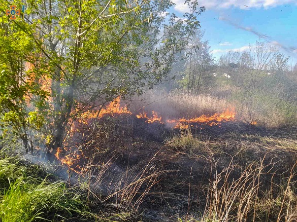 За добу на Черкащині сім разів гасили пожежі в різних районах (ФОТО)