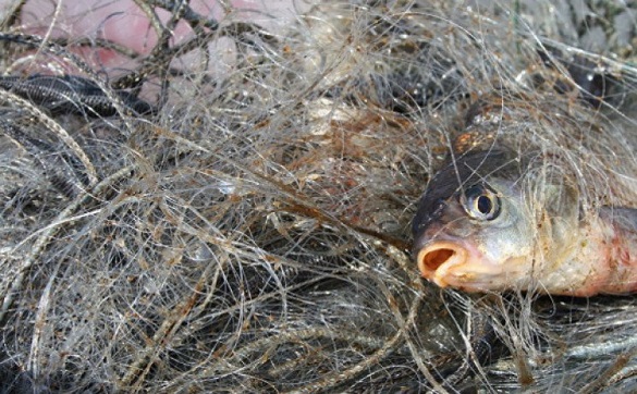 На Черкащині спіймали браконьєрів, які рибалили під час нересту