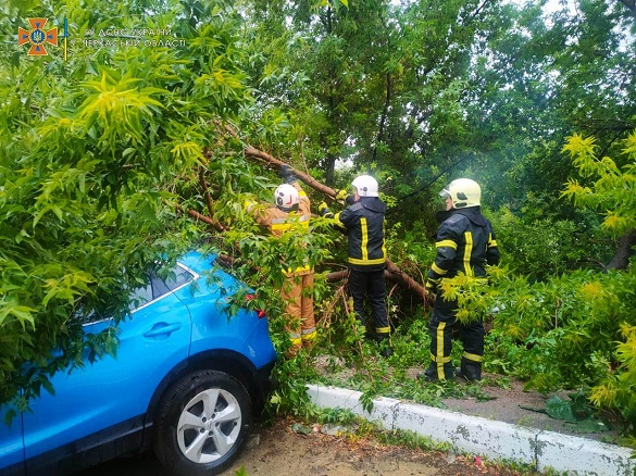 Через негоду в Черкаській області на автомобіль упало дерево (ФОТО)