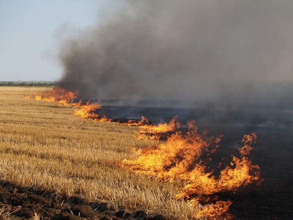 У режимі нон-стоп: на Черкащині рятувальники протягом доби боролись із пожежами сухої трави (ВІДЕО)