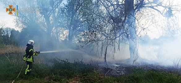 У Черкаській області пожежа сухої трави охопила гектар території