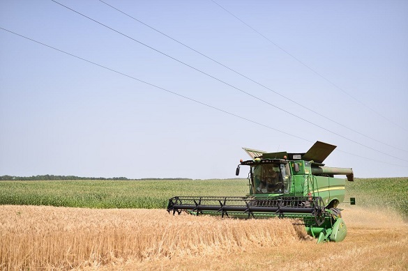 Українські аграрії зібрали 17,5 млн тонн зерна